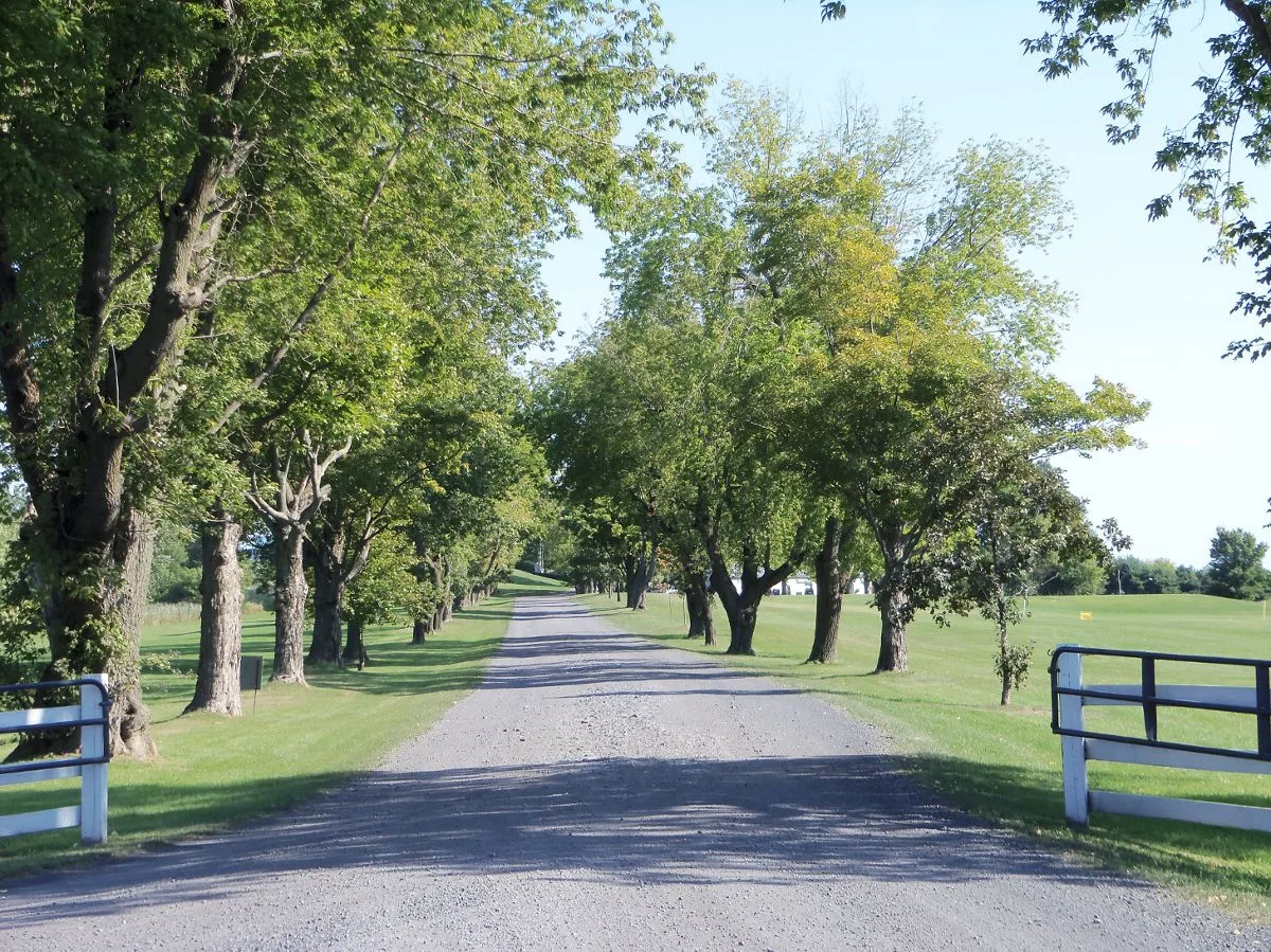 2024 Season Pass Alburg Golf Links