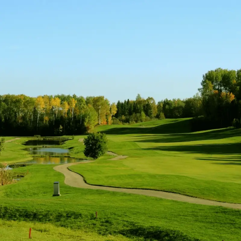 pond-fairway