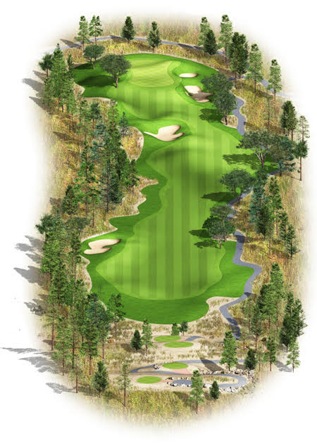 Hole #8 Overview